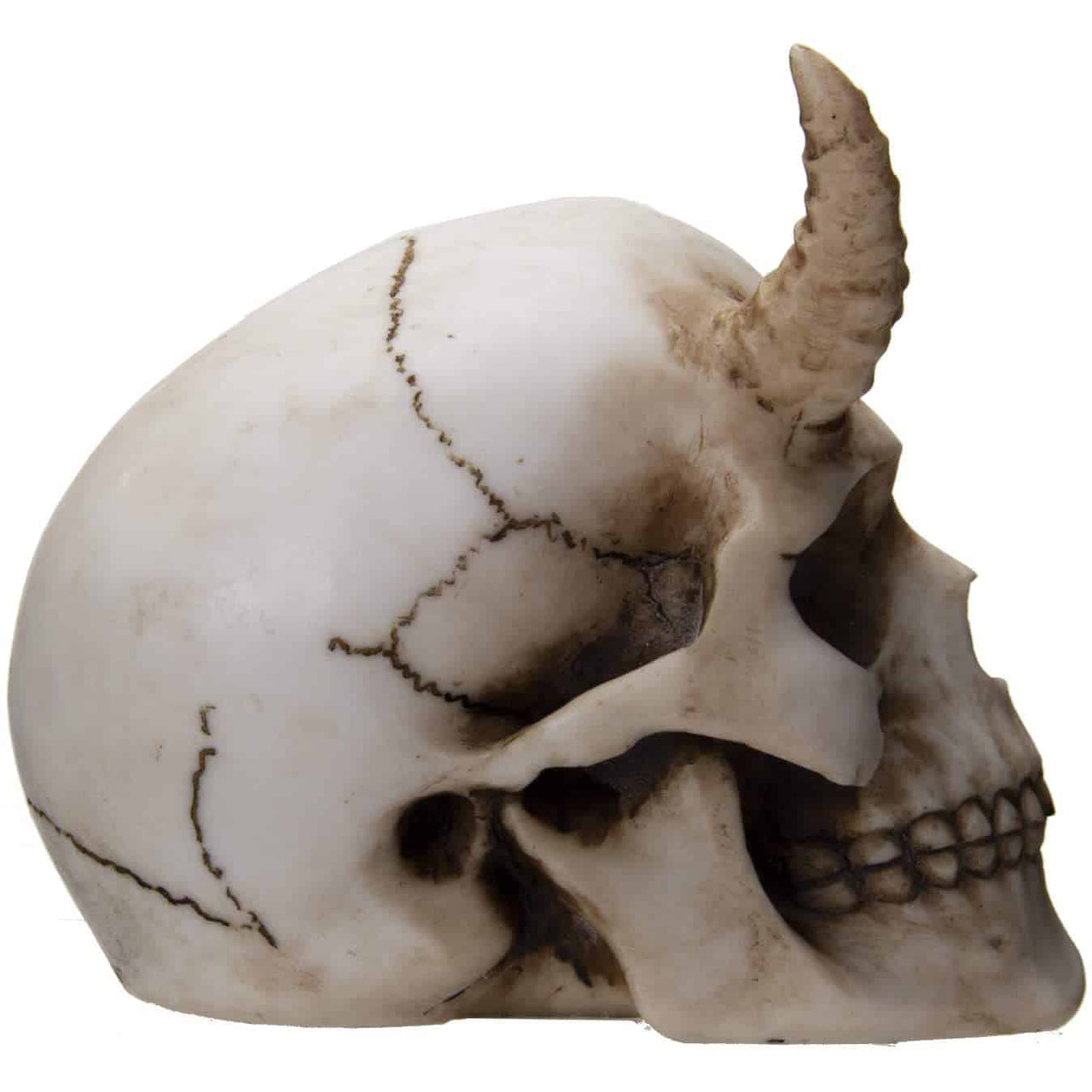 Horned Skull Figurine side