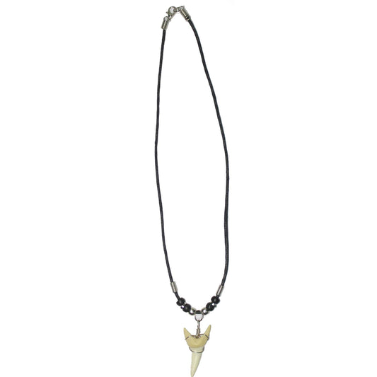 Shark Tooth Necklace