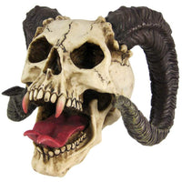 Thumbnail for Ram Horned Skull Head