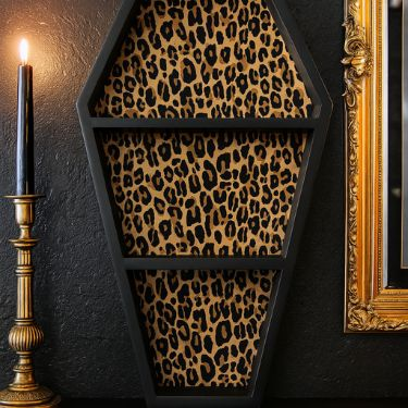Coffin/Bat Shelves
