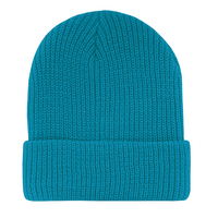 Thumbnail for Teal Watch Cap Beanie