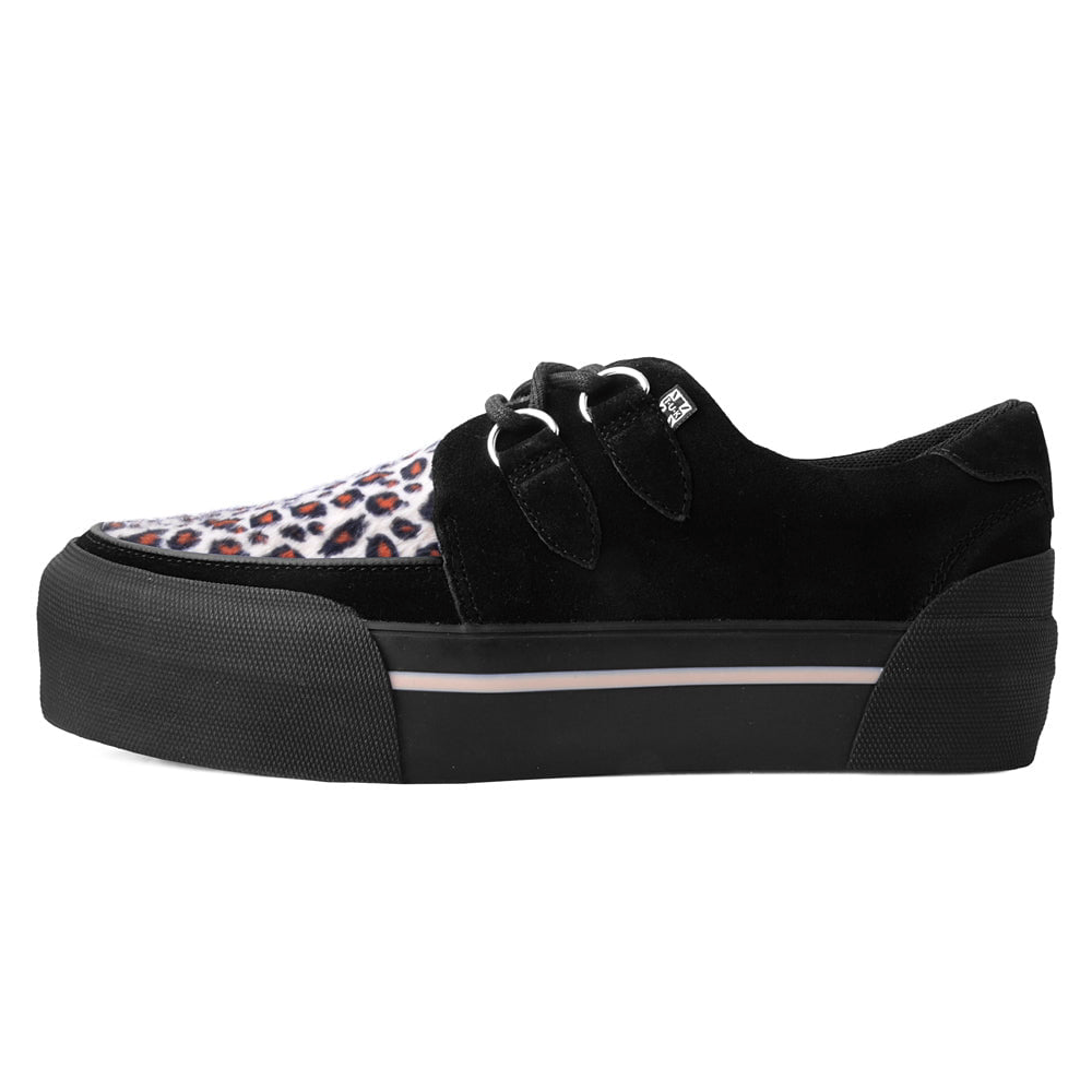 Leopard Creepers Platform Shoes TUK Black/Leopard Suede Platform