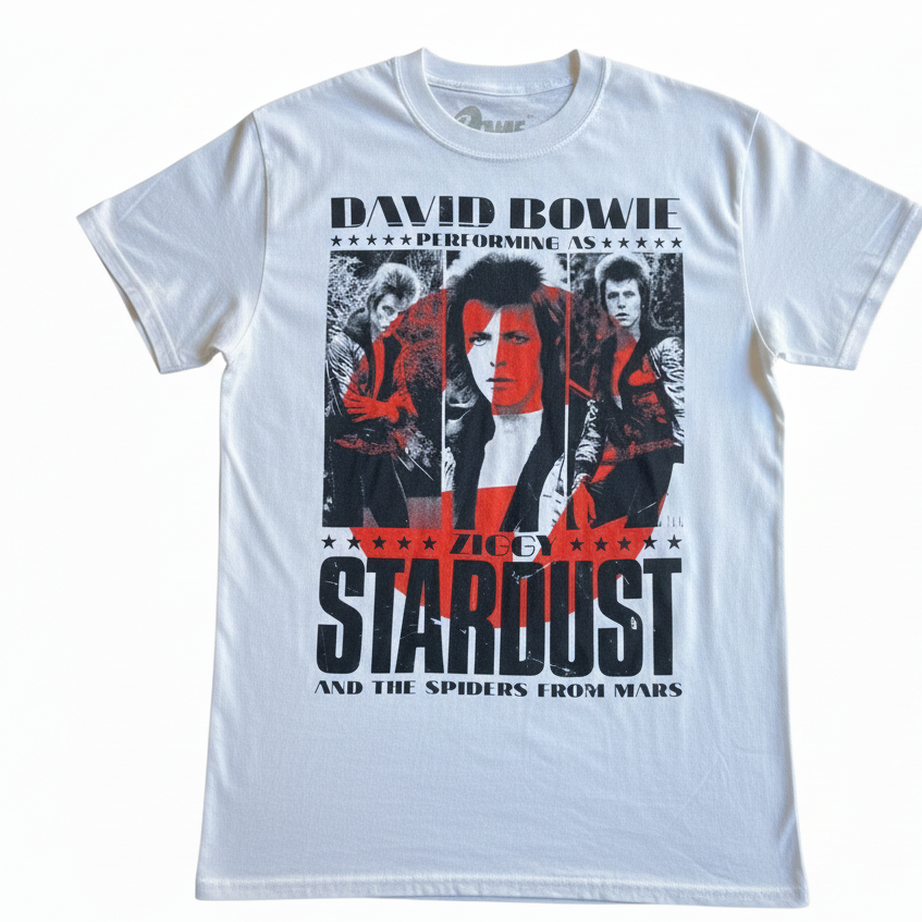 David Bowie Ziggy And The Spiders T-Shirt