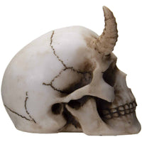 Thumbnail for Horned Skull Figurine side