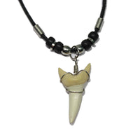 Thumbnail for Shark Tooth Necklace