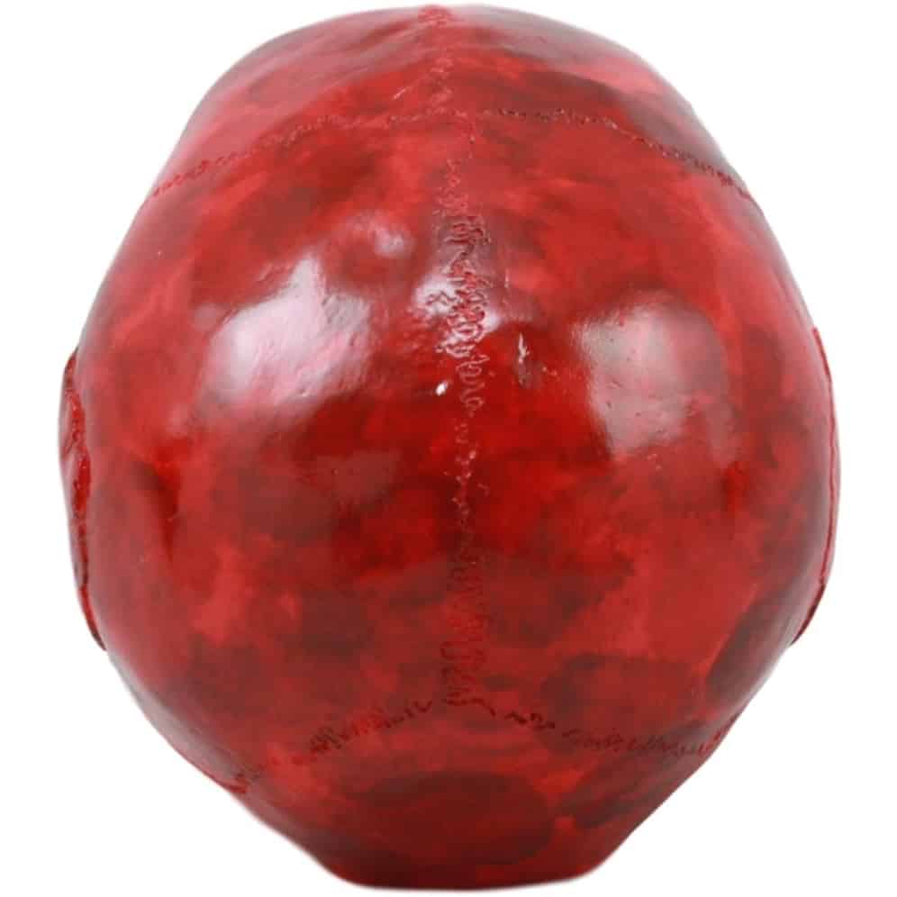 Red Vampire Skull top