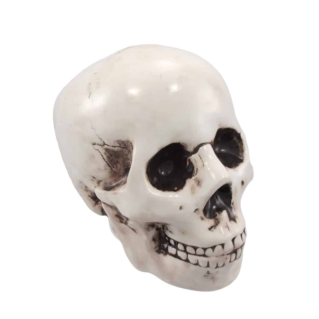 Skull Money Bank