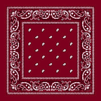 Thumbnail for Burgundy Paisley Cotton Bandana