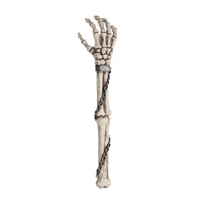 Thumbnail for Skeleton Arm Back Scratcher