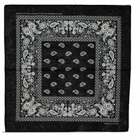 Thumbnail for Black Paisley Cotton Bandana